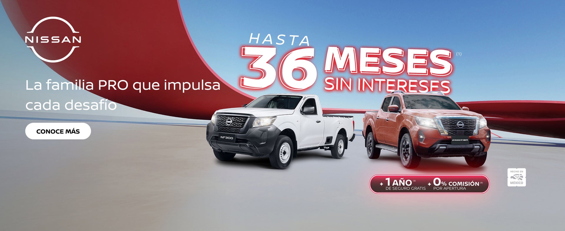 NISSAN FAMILIA PRO